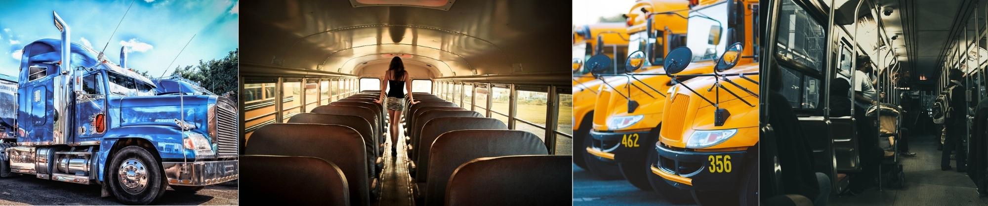 Autobuses y camiones. 